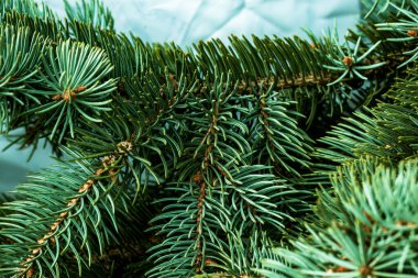 Noel ağacı arka planında fotokopi alanı var. Firavun ağacı dalların dokusuna sahiptir. Yeni Yıl Arkaplanı.