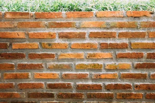 Dark Orange Old Brick Wall Textura Fundo Com Grama Parede — Fotografia de Stock