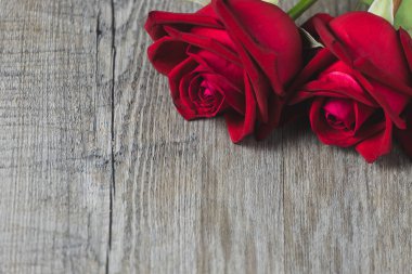 Kırmızı gül Gri bir tahta üzerine yerleştirilmiş 