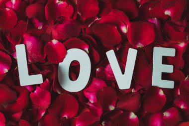 Kırmızı gül yapraklarına yerleştirilmiş beyaz ahşap harfler.