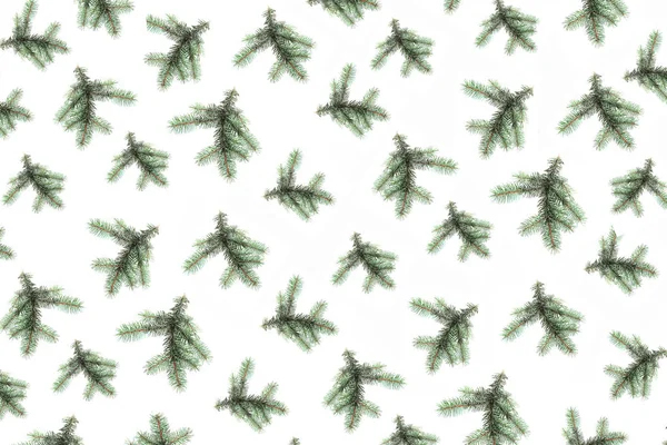 Işık masasında ladin dalları olan bir tatil geçmişi. en üstteki görünüm.