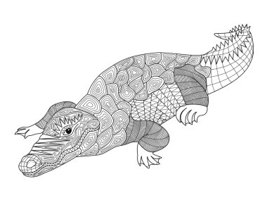Vector coloring animal crocodile, alligator for children and adults. Antistress. Zentangle. Habitat Asia, Australia, India, Pacific ocean, Indian ocean, USA. Summer hot weather. Drawing pattern for printing on fabric and handmade paper clipart