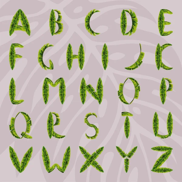 Alphabet anglais fait de feuilles de palmier — Image vectorielle