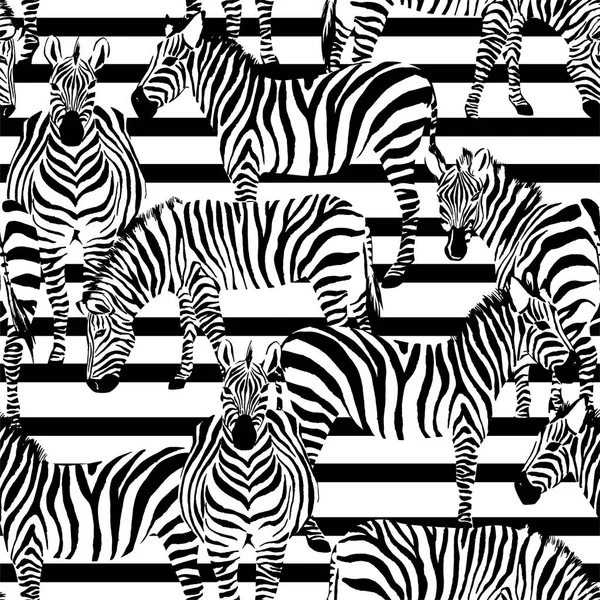 Pruhovaný vzor Zebra — Stockový vektor