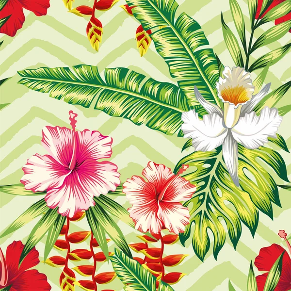 Hibisco folhas de palmeira padrão orquídea — Vetor de Stock