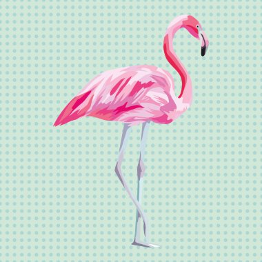 izole pembe flamingo aqua nane arka plan