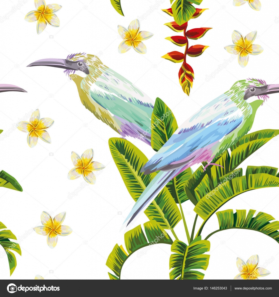Download Tropical birds flowers and plants white background — Stock ...