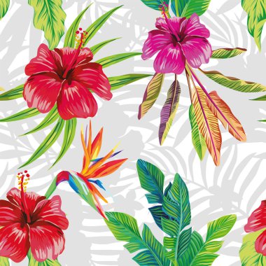 cennet kuşu ebegümeci yaprakları gri ve beyaz yaprak sorunsuz 