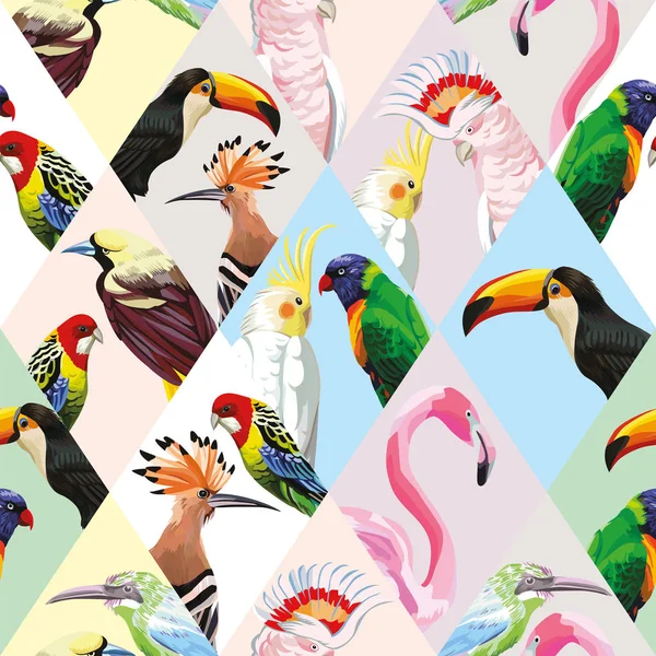 Patchwork aves tropicales fondo multicolor — Vector de stock