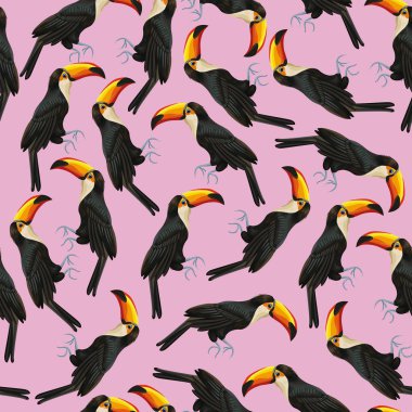 Dikişsiz desen toucan pembe arka plan