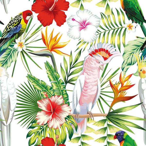 Parrot tropical flowers and leaves seamless pattern white backgr — Stock Vector