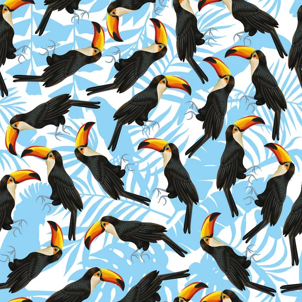 Modèle sans couture toucan fond bleu blanc — Image vectorielle