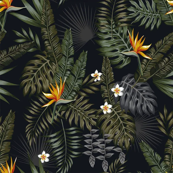 Noche tropical patrón sin costuras fondo negro — Vector de stock