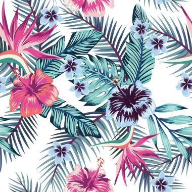 Hibiscus plumeria kesintisiz beyaz arka plan bırakır