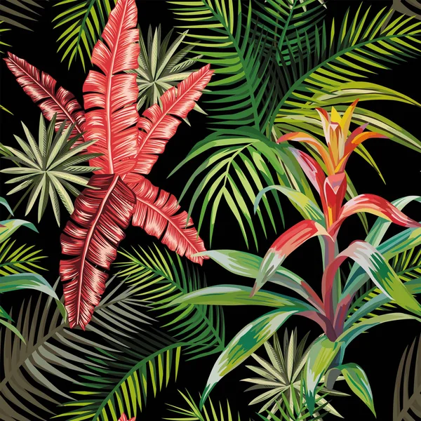 Ροζ palm φύλλα bromelia μαύρο φόντο — Διανυσματικό Αρχείο
