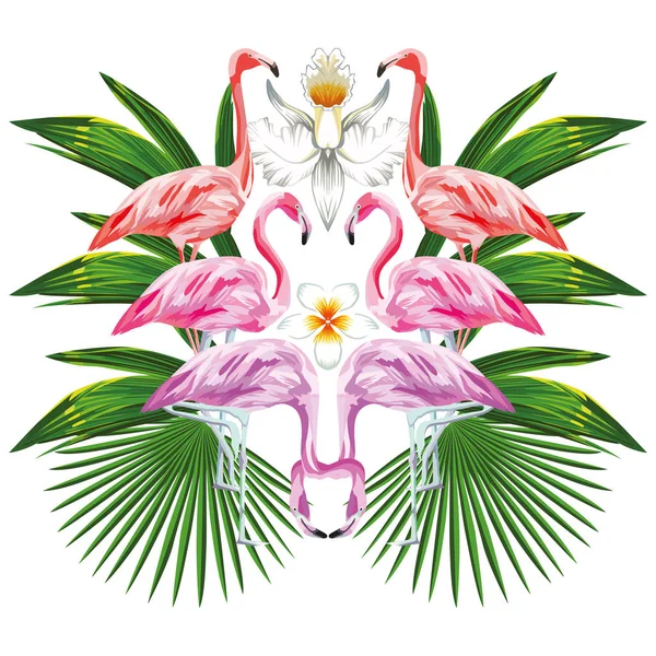 Composition miroir du flamant rose et des feuilles — Image vectorielle