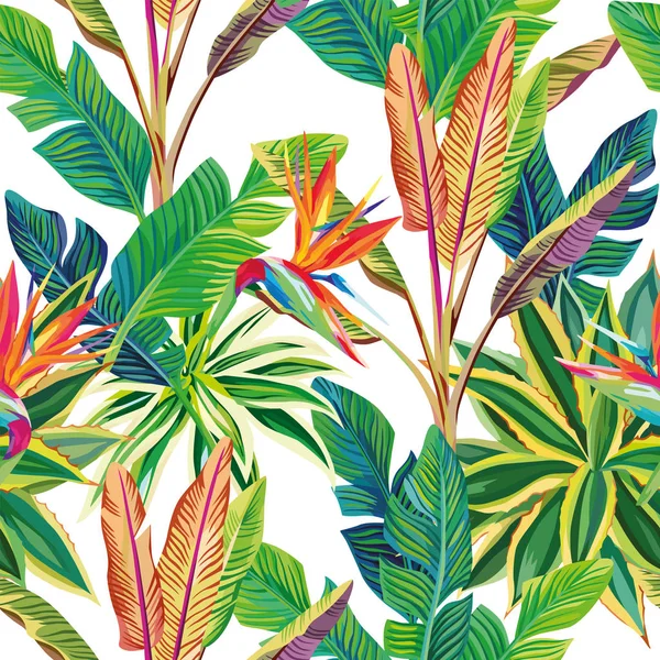 Selva tropical aves del paraíso y hojas sin fisuras — Vector de stock