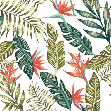 Palm tropik çiçekler kesintisiz beyaz arka plan bırakır.