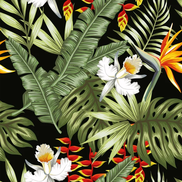 Flores da selva e folhas fundo preto — Vetor de Stock