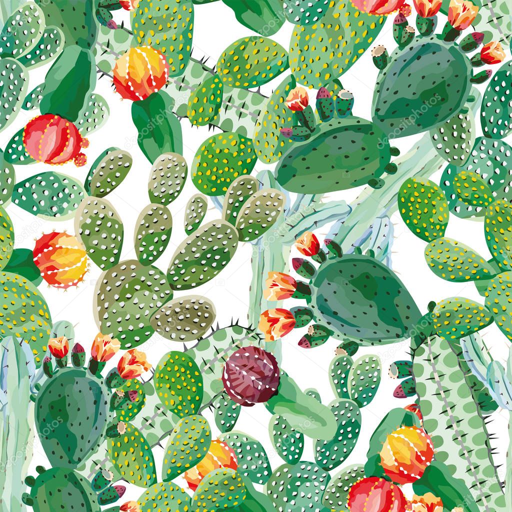 Cactus seamless pattern white background