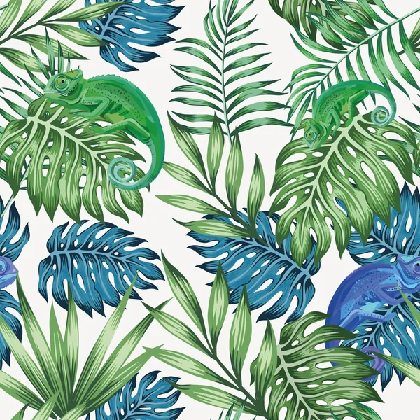 Bukalemun mavi ve yeşil tropikal sorunsuz bırakır