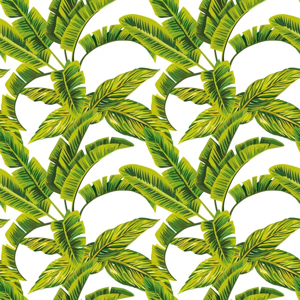 Feuilles de banane motif sans couture fond blanc — Image vectorielle