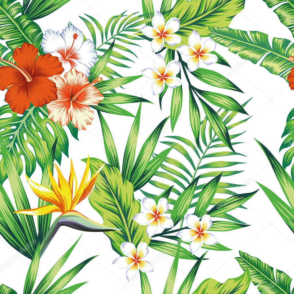 Tropical plants seamless pattern white background