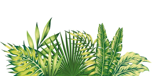 Dschungel Zusammensetzung tropische Blätter Muster — Stockvektor