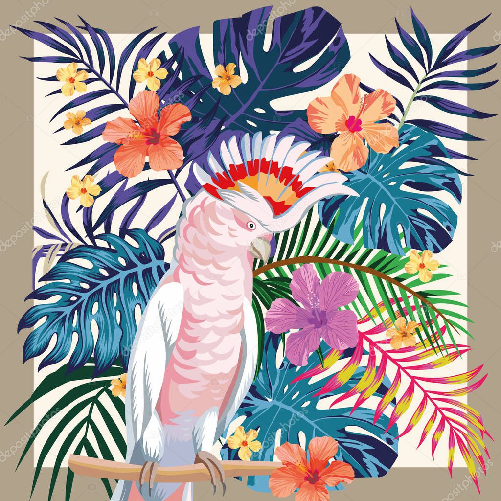 Parrot abstract color  tropical pattern frame