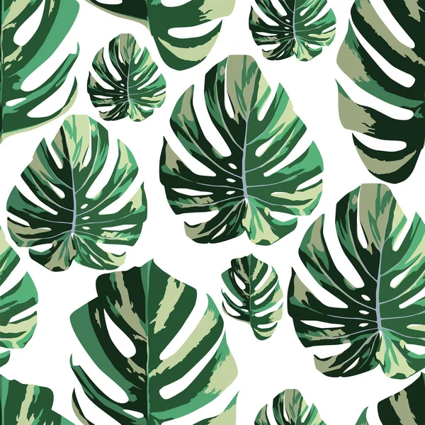 Tropical monstera hojas sin costura patrón fondo blanco — Vector de stock