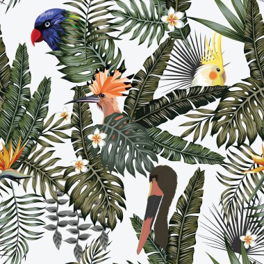 Tropik ormanda egzotik bir kuş. Beyaz arka plan.