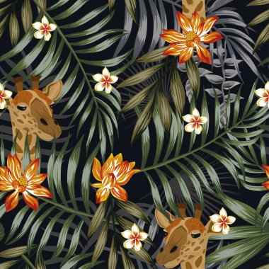 Zürafa başı plumeria lotus çiçekleri dikişsiz siyah arkaplan