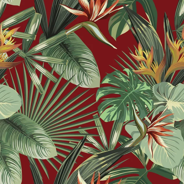 Egzotik Strelitzia Cennet Kuşu Çiçekler Tropikal Palmiye Muz Canavar Yeşili — Stok Vektör