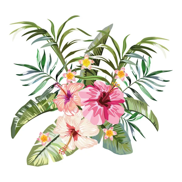 Ramo Vectorial Aislado Flores Con Flores Exóticas Hibisco Plumeria Frangipani — Archivo Imágenes Vectoriales