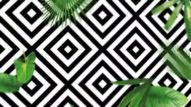 Geometrik siyah beyaz arka planda düşen yeşil tropikal yapraklar. Gerçekçi vektör elinden gelen egzotik botanik 4k animasyonu hareket halindeki nesneleri çizdi 