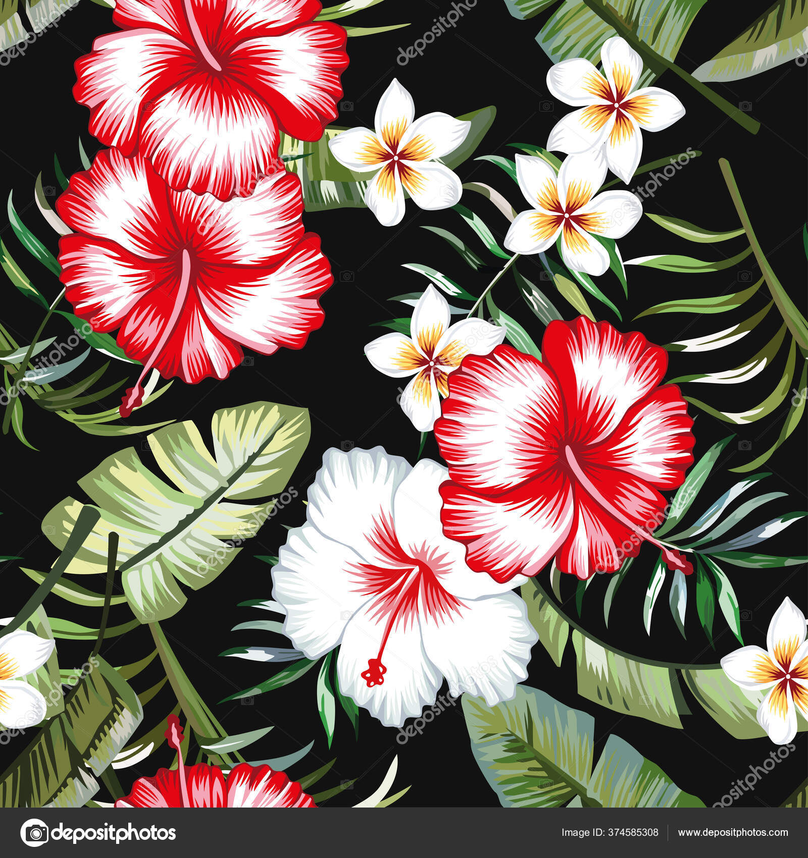 Red White Hibiscus Flower Background Palm Leaves Plumeria Trendy Green  Stock Vector by ©berry2046 374585308