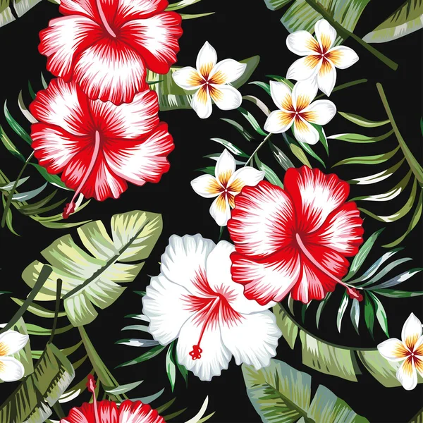 Rode Witte Hibiscus Bloem Een Achtergrond Van Palmbladeren Plumeria Een — Stockvector