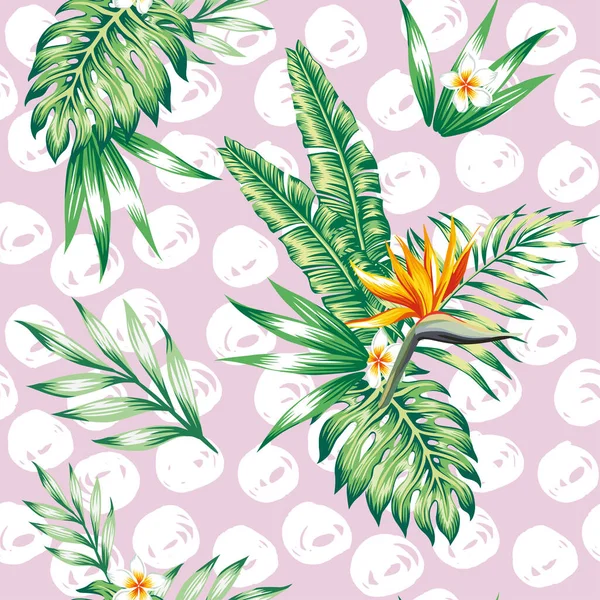 Tropical Composition Branch Exotic Floral Banana Palm Beach Tree Seamless — Stock Vector