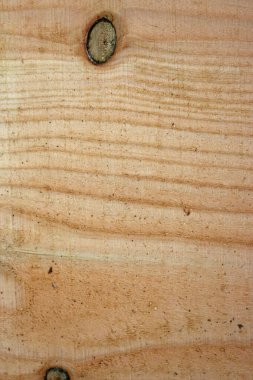 Douglas fir tree sawn timber plank clipart