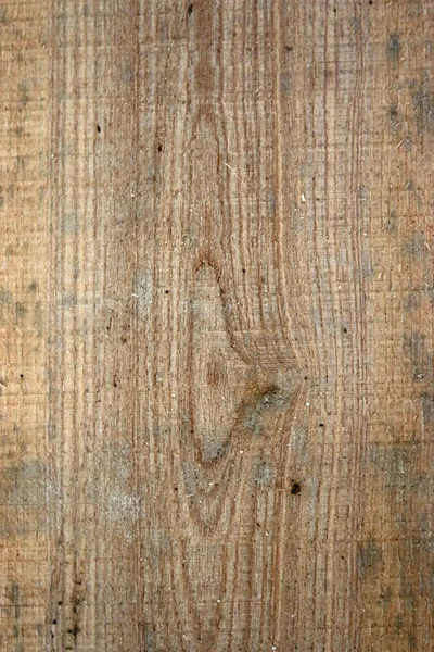 Ash tree sawn timber plank — Stock Photo, Image