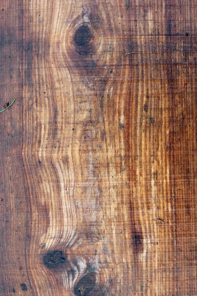 Elm tree sawn timber plank — Stock Photo, Image