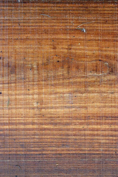 Elm tree sawn timber plank — Stock Photo, Image