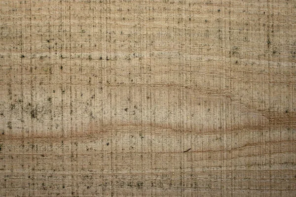 Доска из древесины каштана — стоковое фото