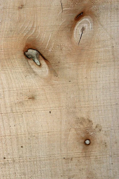 활엽수가 목재 널빤지를 톱질하고 있다 — 스톡 사진