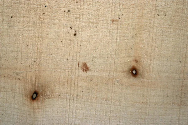 Sycamore tree sawn timber plank — Stock Photo, Image