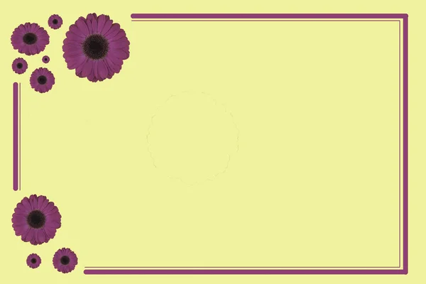 Cartão Presente Cor Com Flores Como Decoração — Fotografia de Stock