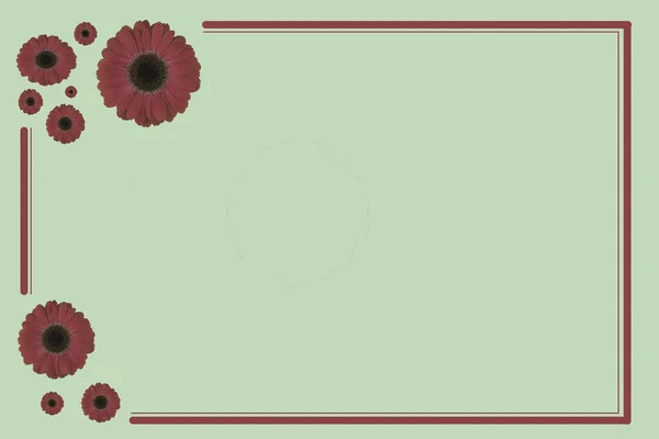 Cartão Presente Cor Com Flores Como Decoração — Fotografia de Stock