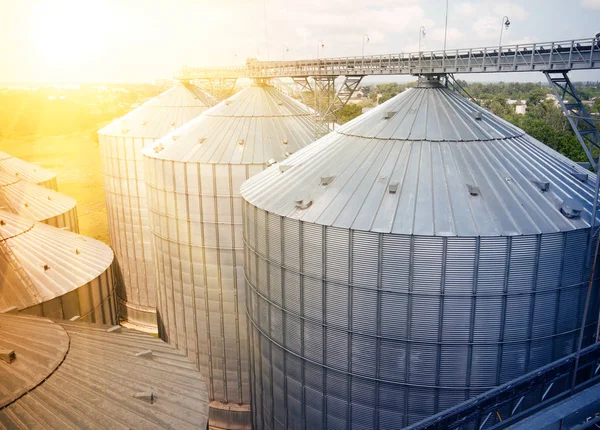 Graan opslag silo's. Gegalvaniseerde tanks voor graan. Graanschuur met mechanische apparatuur voor ontvangende, schoonmaken, drogen, graan verzending — Stockfoto