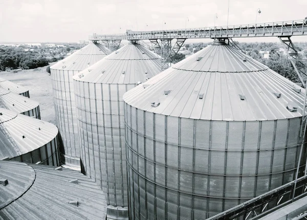 Graan opslag silo's. Gegalvaniseerde tanks voor graan. Graanschuur met mechanische apparatuur voor ontvangende, schoonmaken, drogen, graan verzending — Stockfoto