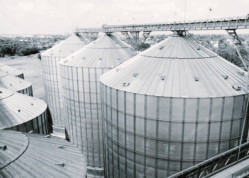 Grain storage silos. Galvanized tanks for grain. Granary with mechanical equipment for receiving, cleaning, drying, grain shipment